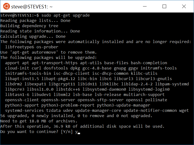 Running sudo apt-get upgrade on Windows 10